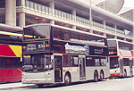 bus-star_alliance-01.jpg (26225 bytes)